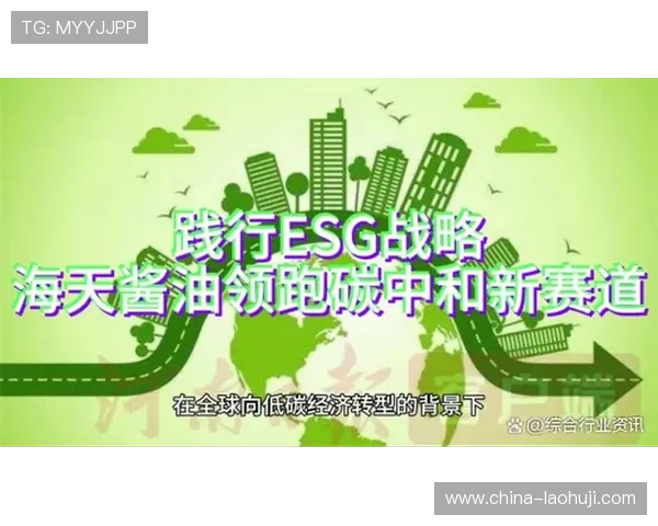 百利宫电子节能环保解决方案助力绿色生活的实用指南与应用案例